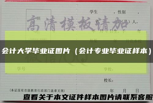 会计大学毕业证图片（会计专业毕业证样本）缩略图