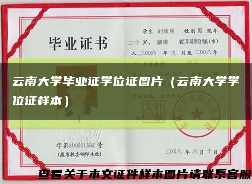 云南大学毕业证学位证图片（云南大学学位证样本）缩略图