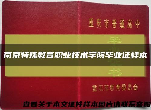 南京特殊教育职业技术学院毕业证样本缩略图
