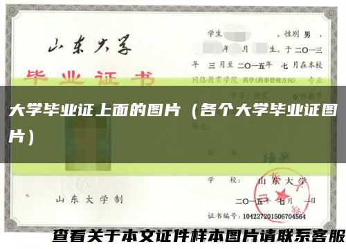 大学毕业证上面的图片（各个大学毕业证图片）缩略图