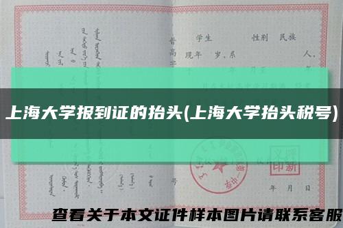 上海大学报到证的抬头(上海大学抬头税号)缩略图