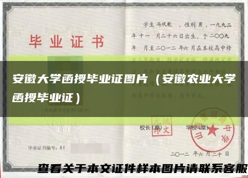 安徽大学函授毕业证图片（安徽农业大学函授毕业证）缩略图