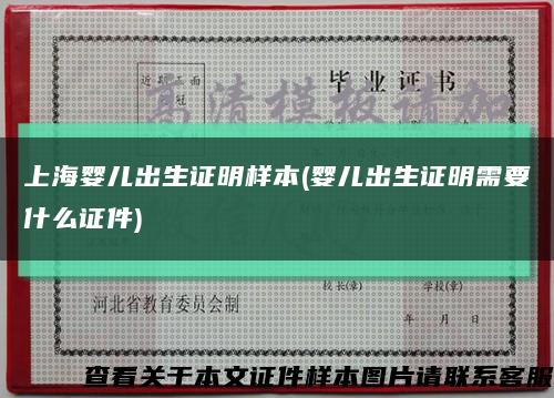 上海婴儿出生证明样本(婴儿出生证明需要什么证件)缩略图
