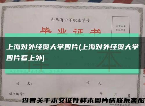 上海对外经贸大学图片(上海对外经贸大学图片看上外)缩略图