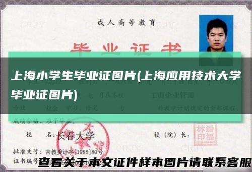 上海小学生毕业证图片(上海应用技术大学毕业证图片)缩略图
