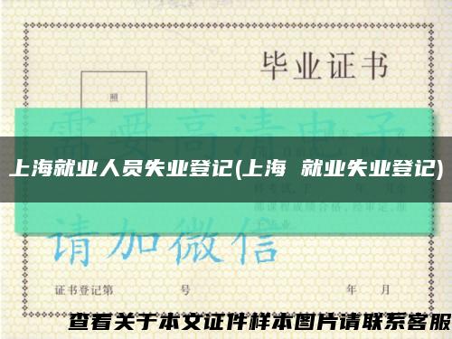 上海就业人员失业登记(上海 就业失业登记)缩略图