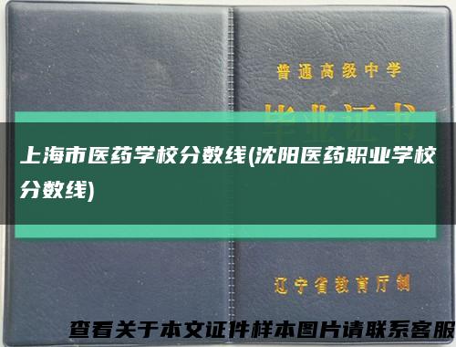 上海市医药学校分数线(沈阳医药职业学校分数线)缩略图