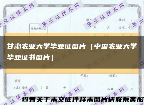 甘肃农业大学毕业证图片（中国农业大学毕业证书图片）缩略图