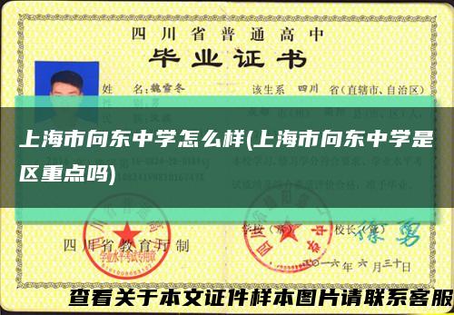 上海市向东中学怎么样(上海市向东中学是区重点吗)缩略图