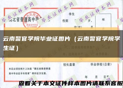 云南警官学院毕业证图片（云南警官学院学生证）缩略图