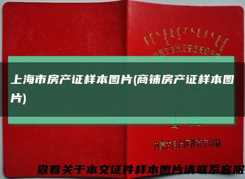 上海市房产证样本图片(商铺房产证样本图片)缩略图