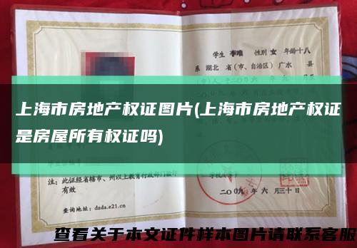 上海市房地产权证图片(上海市房地产权证是房屋所有权证吗)缩略图
