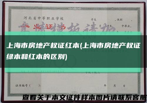 上海市房地产权证红本(上海市房地产权证绿本和红本的区别)缩略图