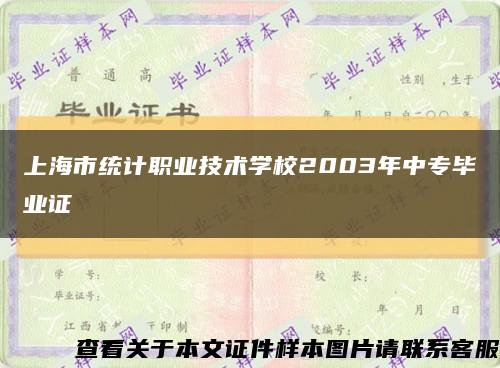 上海市统计职业技术学校2003年中专毕业证缩略图