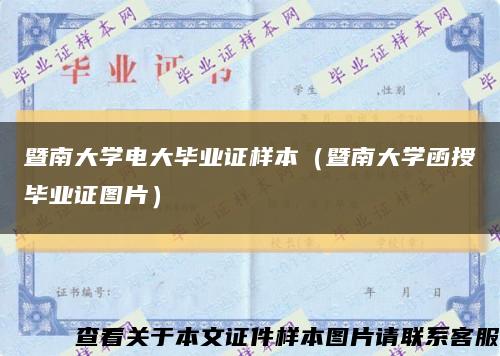 暨南大学电大毕业证样本（暨南大学函授毕业证图片）缩略图