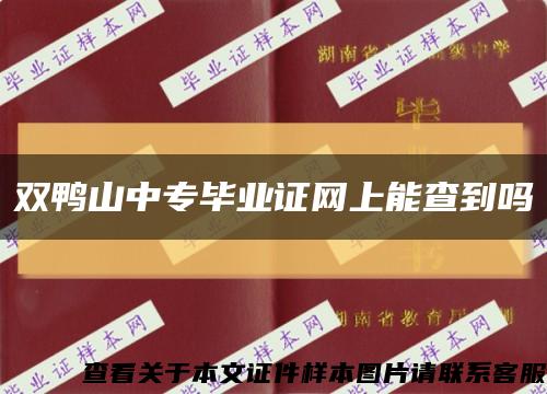 双鸭山中专毕业证网上能查到吗缩略图