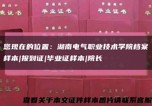 您现在的位置：湖南电气职业技术学院档案样本|报到证|毕业证样本|院长缩略图