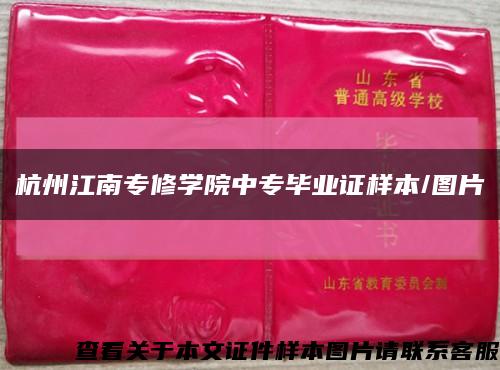 杭州江南专修学院中专毕业证样本/图片缩略图