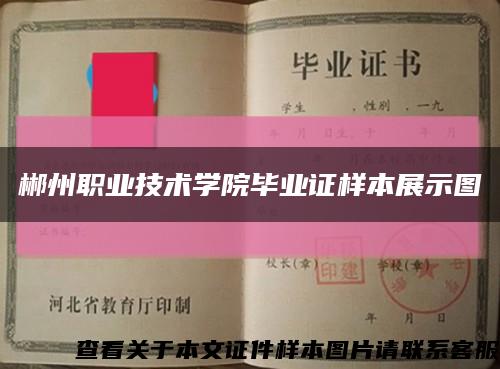 郴州职业技术学院毕业证样本展示图缩略图