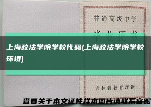 上海政法学院学校代码(上海政法学院学校环境)缩略图