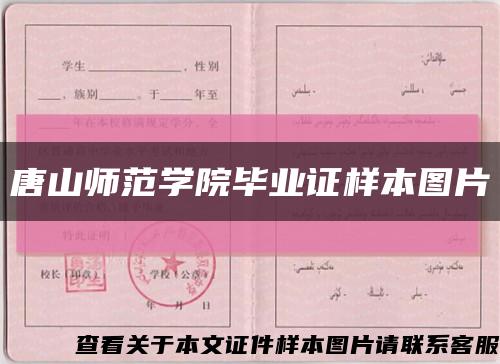 唐山师范学院毕业证样本图片缩略图