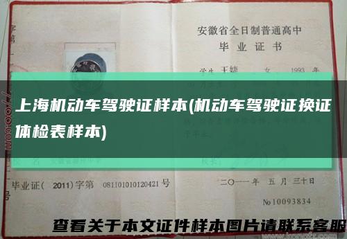 上海机动车驾驶证样本(机动车驾驶证换证体检表样本)缩略图