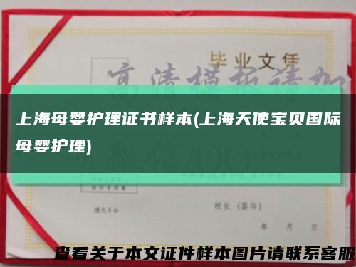 上海母婴护理证书样本(上海天使宝贝国际母婴护理)缩略图