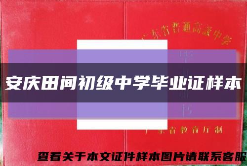 安庆田间初级中学毕业证样本缩略图