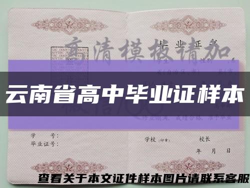 云南省高中毕业证样本缩略图