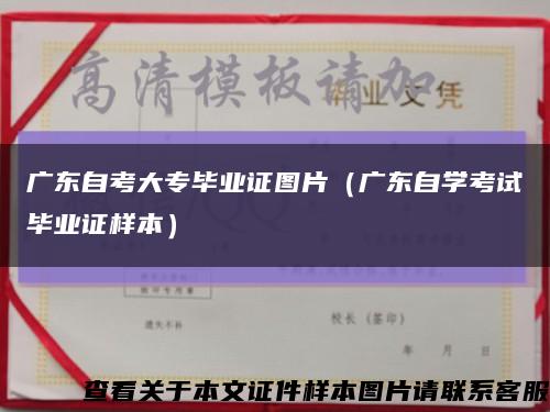 广东自考大专毕业证图片（广东自学考试毕业证样本）缩略图