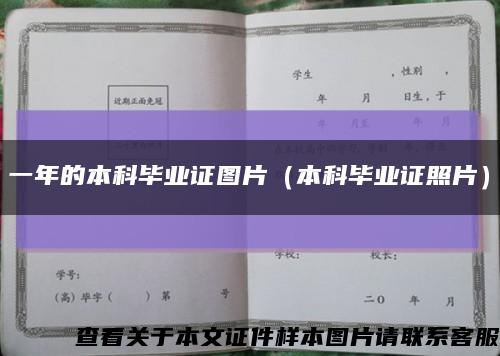 一年的本科毕业证图片（本科毕业证照片）缩略图