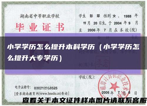 小学学历怎么提升本科学历（小学学历怎么提升大专学历）缩略图