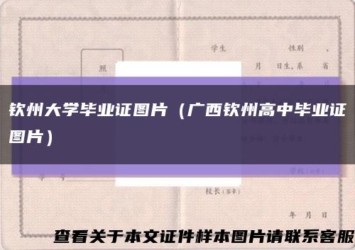 钦州大学毕业证图片（广西钦州高中毕业证图片）缩略图