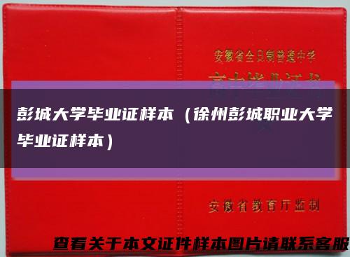 彭城大学毕业证样本（徐州彭城职业大学毕业证样本）缩略图
