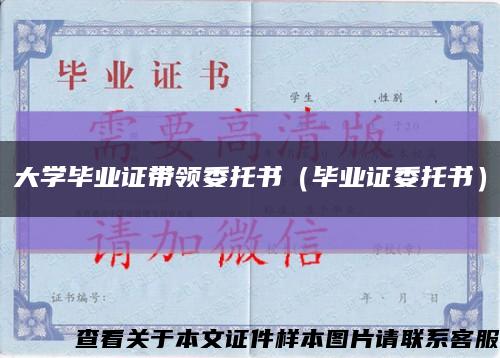 大学毕业证带领委托书（毕业证委托书）缩略图
