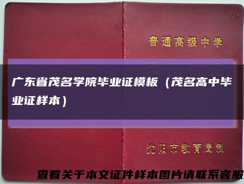 广东省茂名学院毕业证模板（茂名高中毕业证样本）缩略图