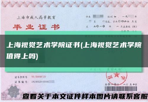 上海视觉艺术学院证书(上海视觉艺术学院值得上吗)缩略图