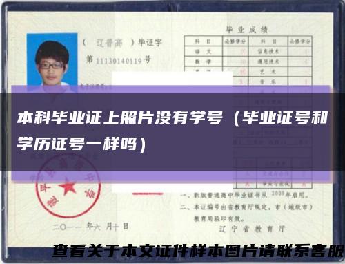 本科毕业证上照片没有学号（毕业证号和学历证号一样吗）缩略图