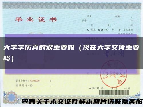 大学学历真的很重要吗（现在大学文凭重要吗）缩略图