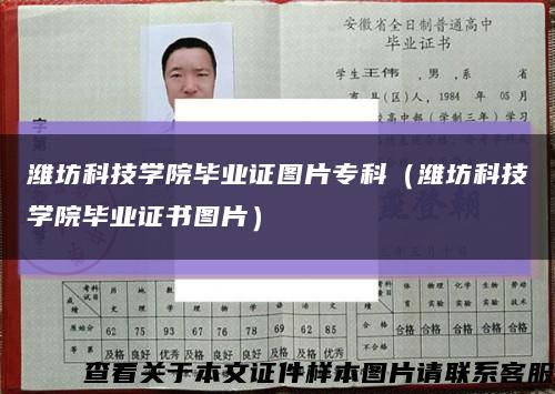 潍坊科技学院毕业证图片专科（潍坊科技学院毕业证书图片）缩略图