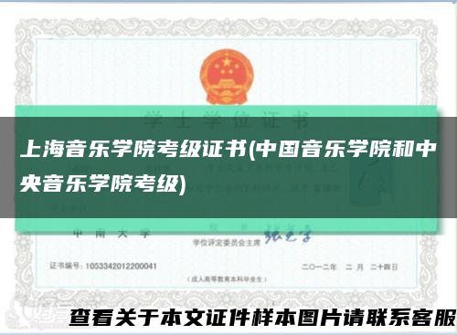 上海音乐学院考级证书(中国音乐学院和中央音乐学院考级)缩略图