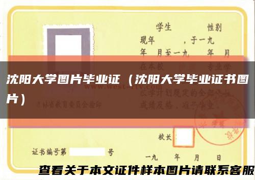 沈阳大学图片毕业证（沈阳大学毕业证书图片）缩略图