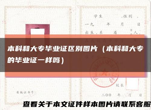 本科和大专毕业证区别图片（本科和大专的毕业证一样吗）缩略图