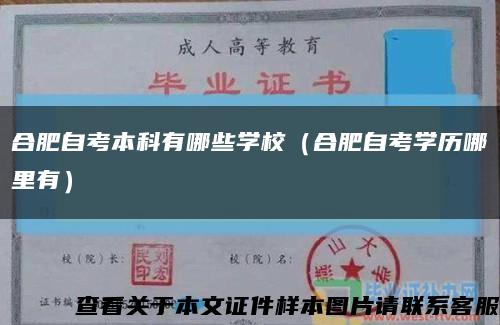 合肥自考本科有哪些学校（合肥自考学历哪里有）缩略图
