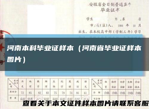 河南本科毕业证样本（河南省毕业证样本图片）缩略图