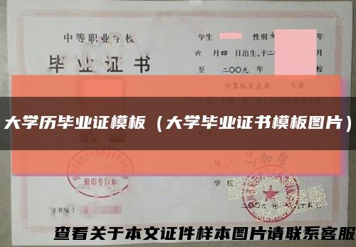 大学历毕业证模板（大学毕业证书模板图片）缩略图