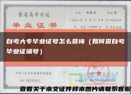 自考大专毕业证号怎么查询（如何查自考毕业证编号）缩略图