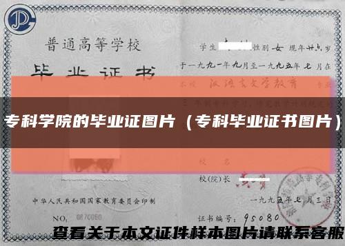 专科学院的毕业证图片（专科毕业证书图片）缩略图
