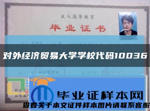 对外经济贸易大学学校代码10036缩略图