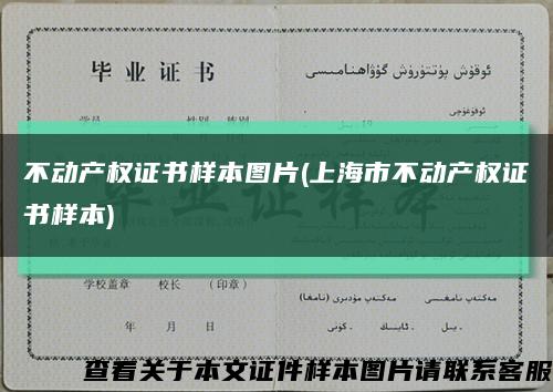 不动产权证书样本图片(上海市不动产权证书样本)缩略图